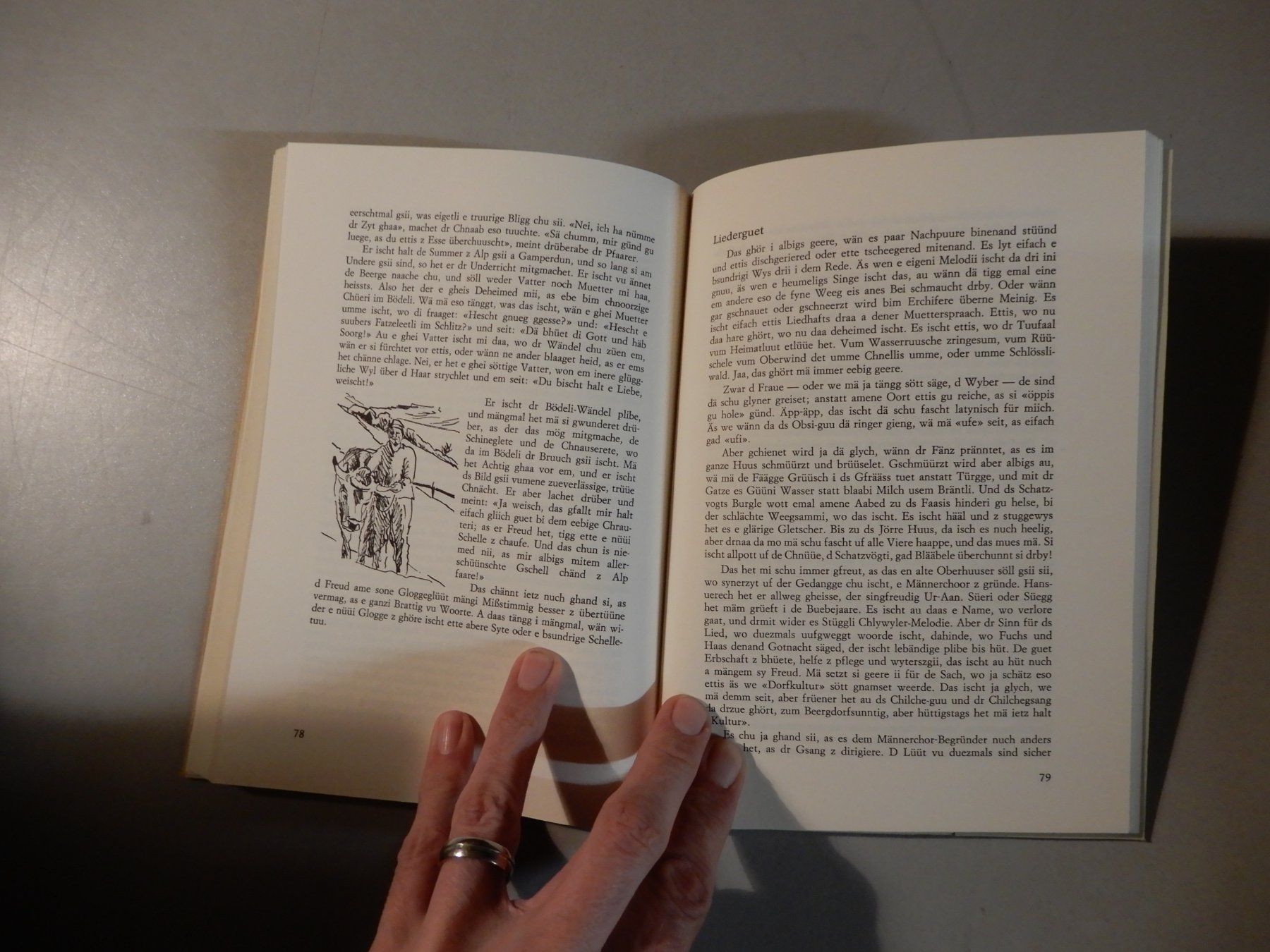 Libri: Walter Elmer "Welt am Pfifschter" Geschichten Buch – Usato da Erstfeld venduto da Mario_boe0 7
