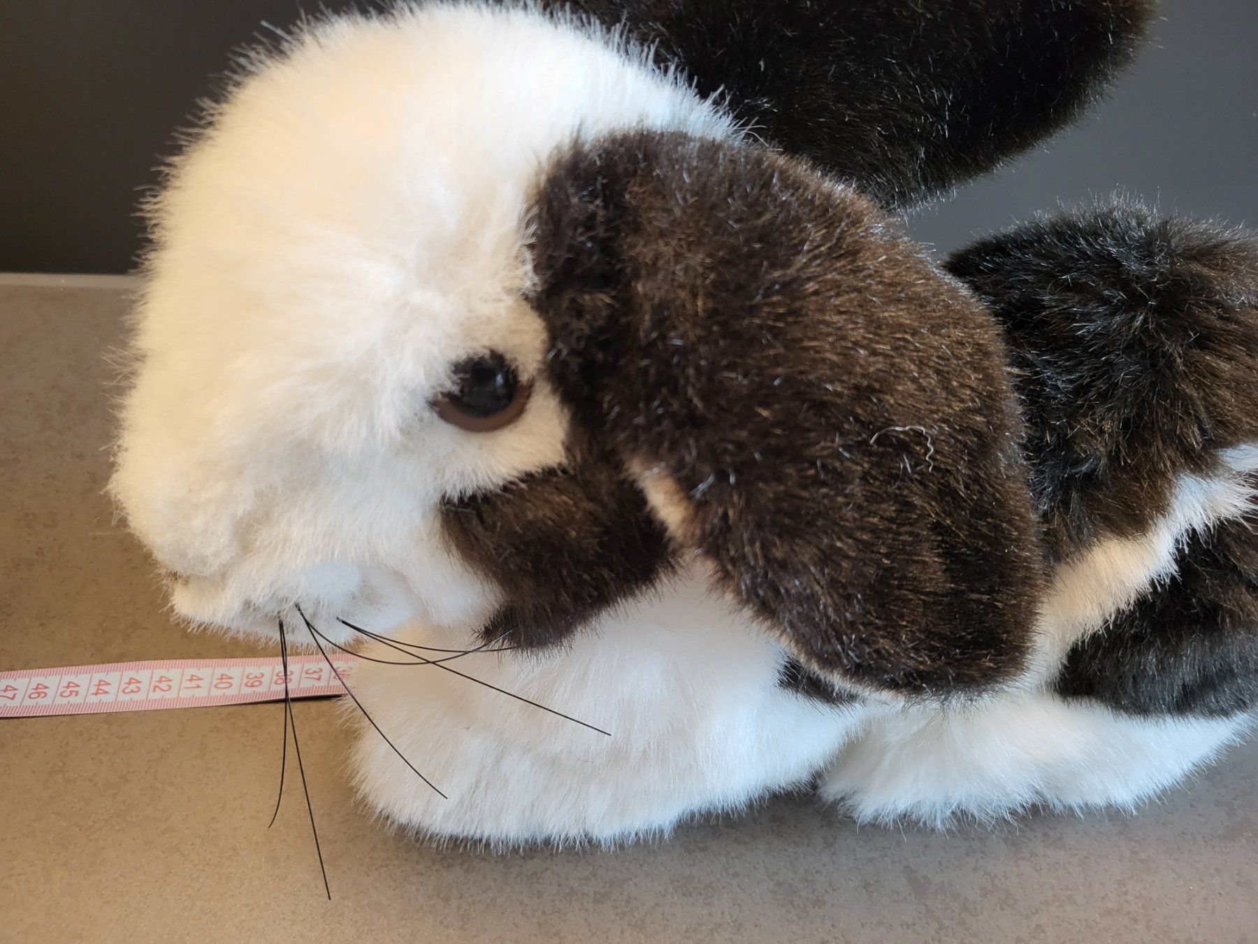 Steiff Spielzeuge: Steiff Hase – Neu (gemäss Beschreibung) aus Zürich von Orchidee 4