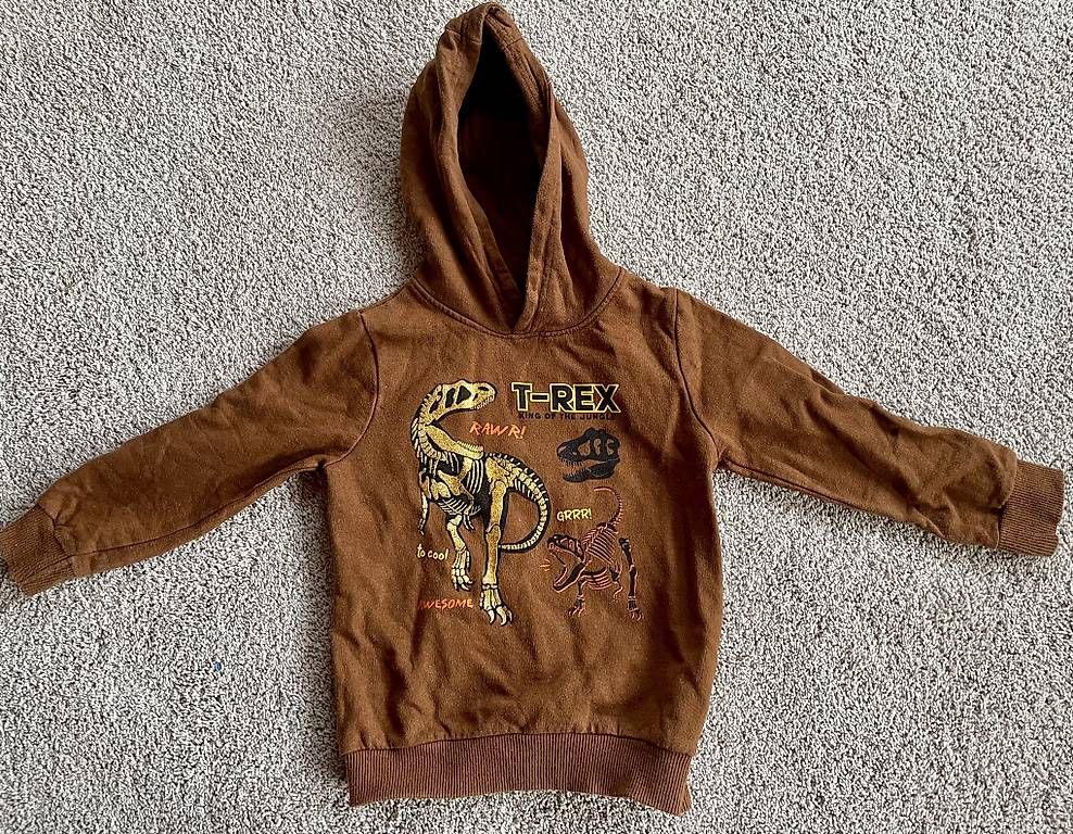 Pullover & Sweatshirts: Dino Pulli – Gebraucht aus Herisau von Ciaoschein