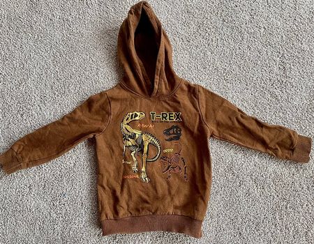 Dino Pulli