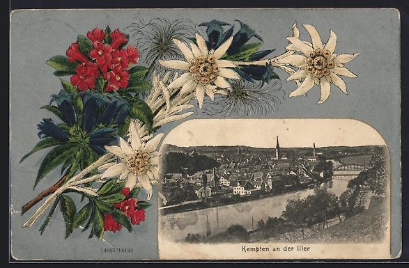 Cartoline postali: Appenzell, Ortsansicht mit Edelweiss-Dek – Usato da Berlin venduto da bartko-reher