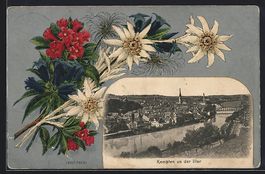 Appenzell, Ortsansicht mit Edelweiss-Dek