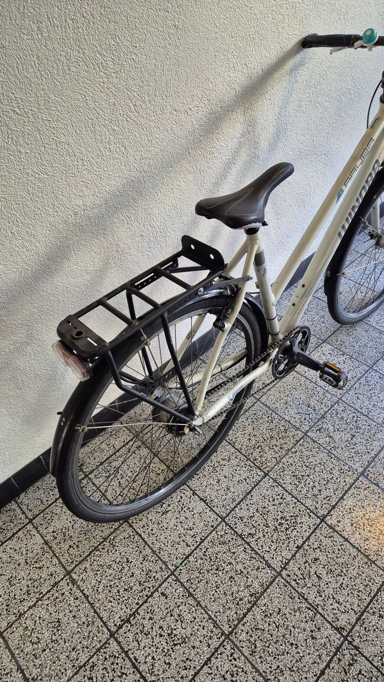Winora Biciclette: Damenvelo / vélo dames – Usato da Basel venduto da Cellostoffeli 3