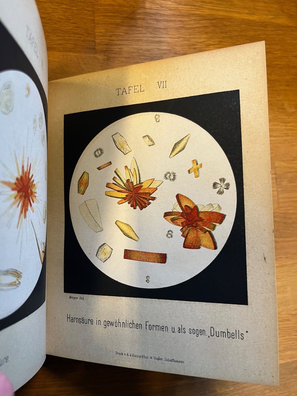 Libri: Die Microscopie am Krankenbette 1884 – Usato da Laufen venduto da Nuria44 4