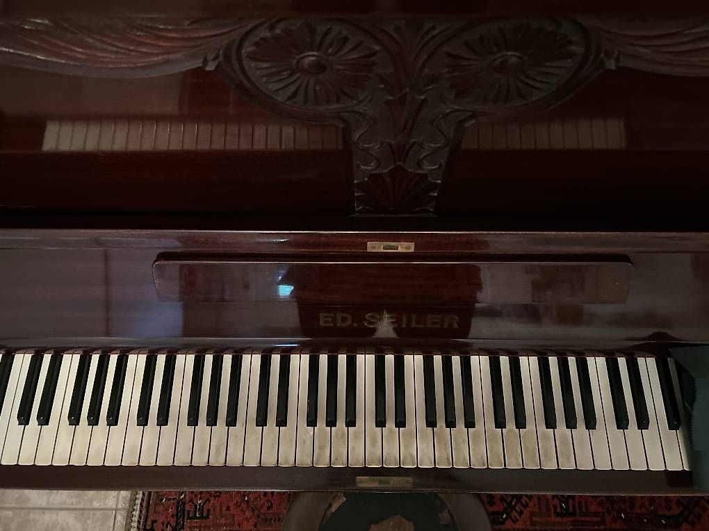 Musikinstrumente: Pianoforte verticale Ed. Seiler  – Gebraucht aus Riva San Vitale von nev_9qn9 2