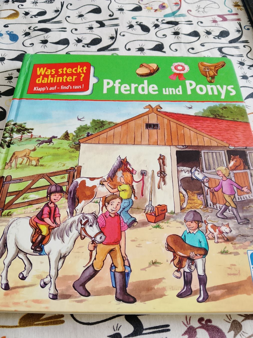 Libri: Pferde und Ponys  – Usato da Volken venduto da katz5