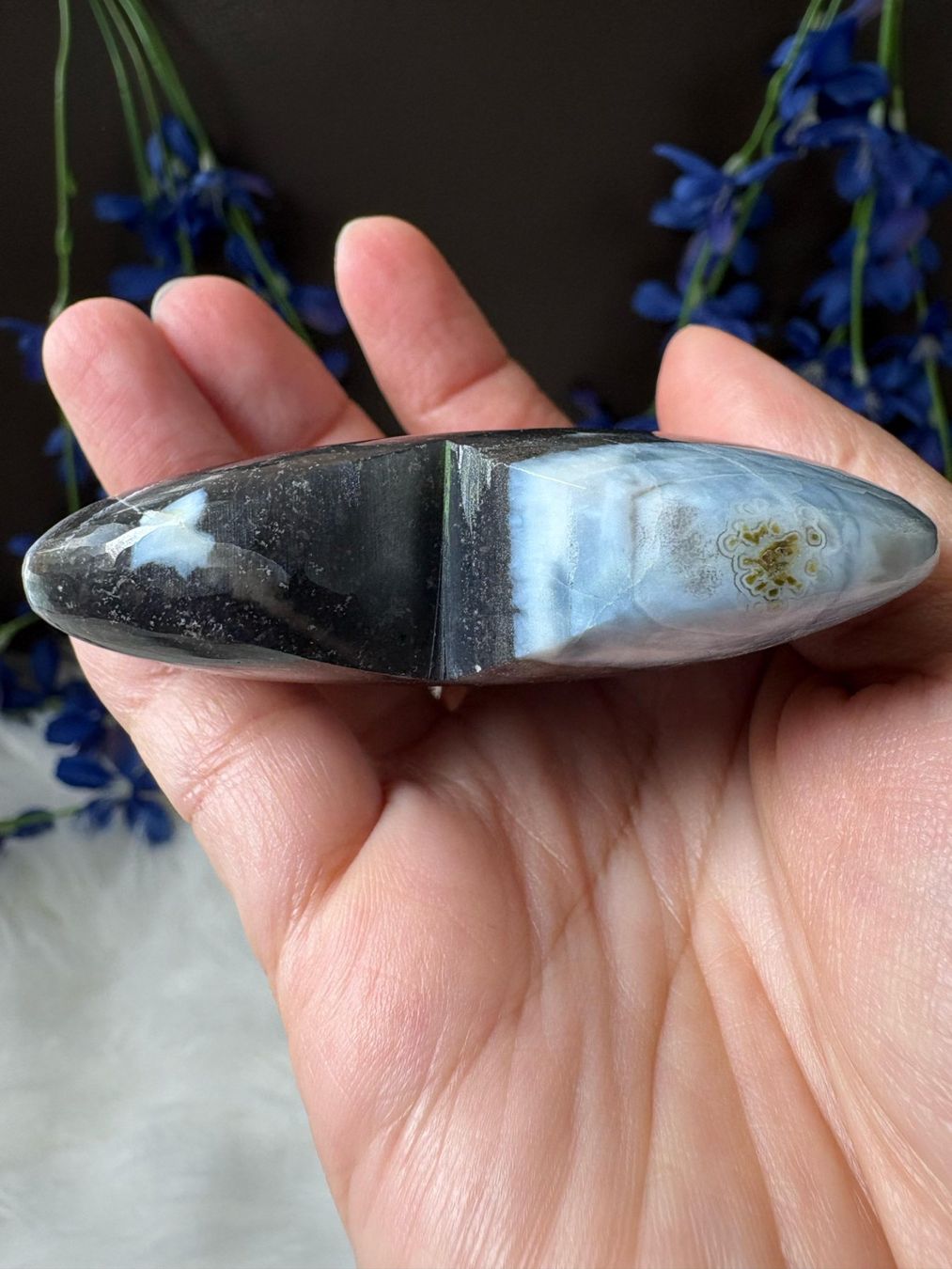 Mineralien & Heilsteine: Owyhee Opal – Neu (gemäss Beschreibung) aus Neuheim von m.hald 4