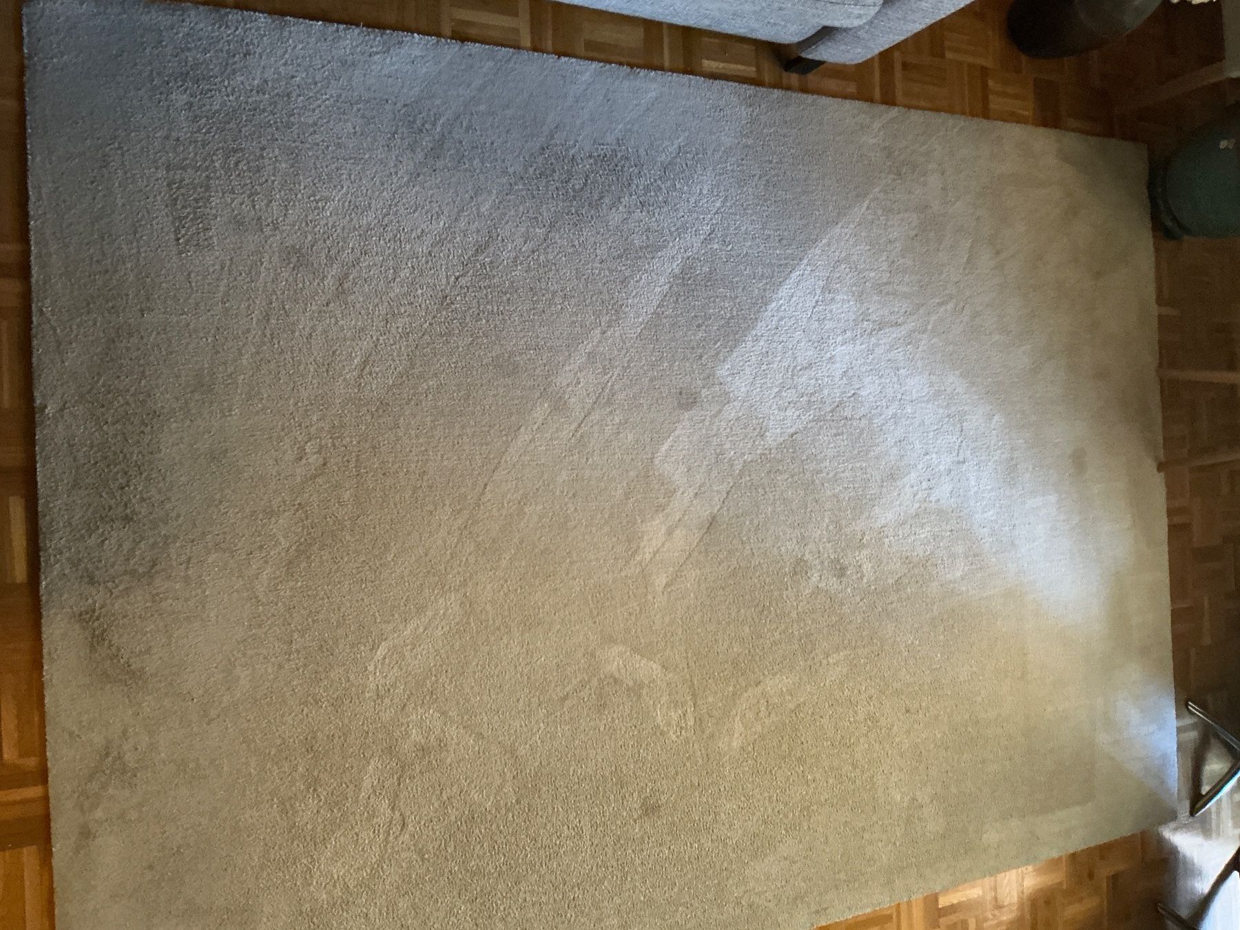 Conforama Tappeti: Teppich 290cm x 200cm creme – Usato da Kloten venduto da Multipod