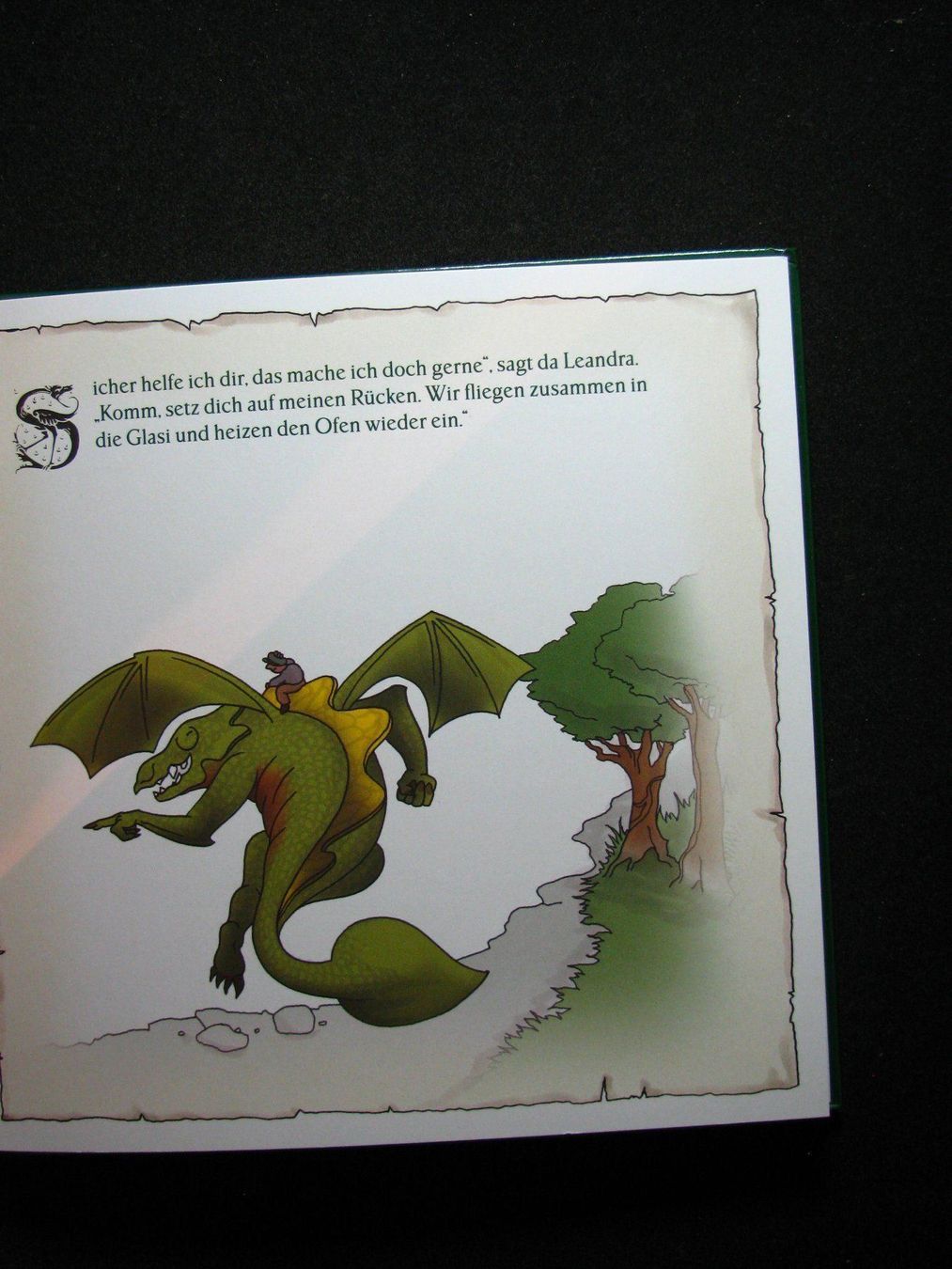 Bücher: Beat Niggli Leandra der Glasidrache / RAR – Gebraucht aus Reitnau von Zaomir 6