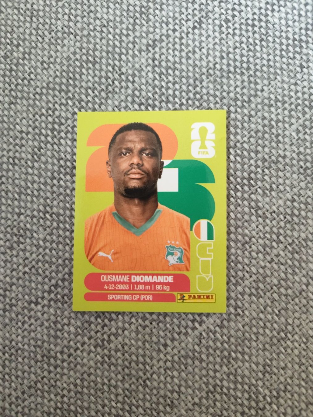 Panini Carte collezionabili: Panini WM 2026 CIV 9, Diomande – Usato da Aarburg venduto da gloeckgloeck
