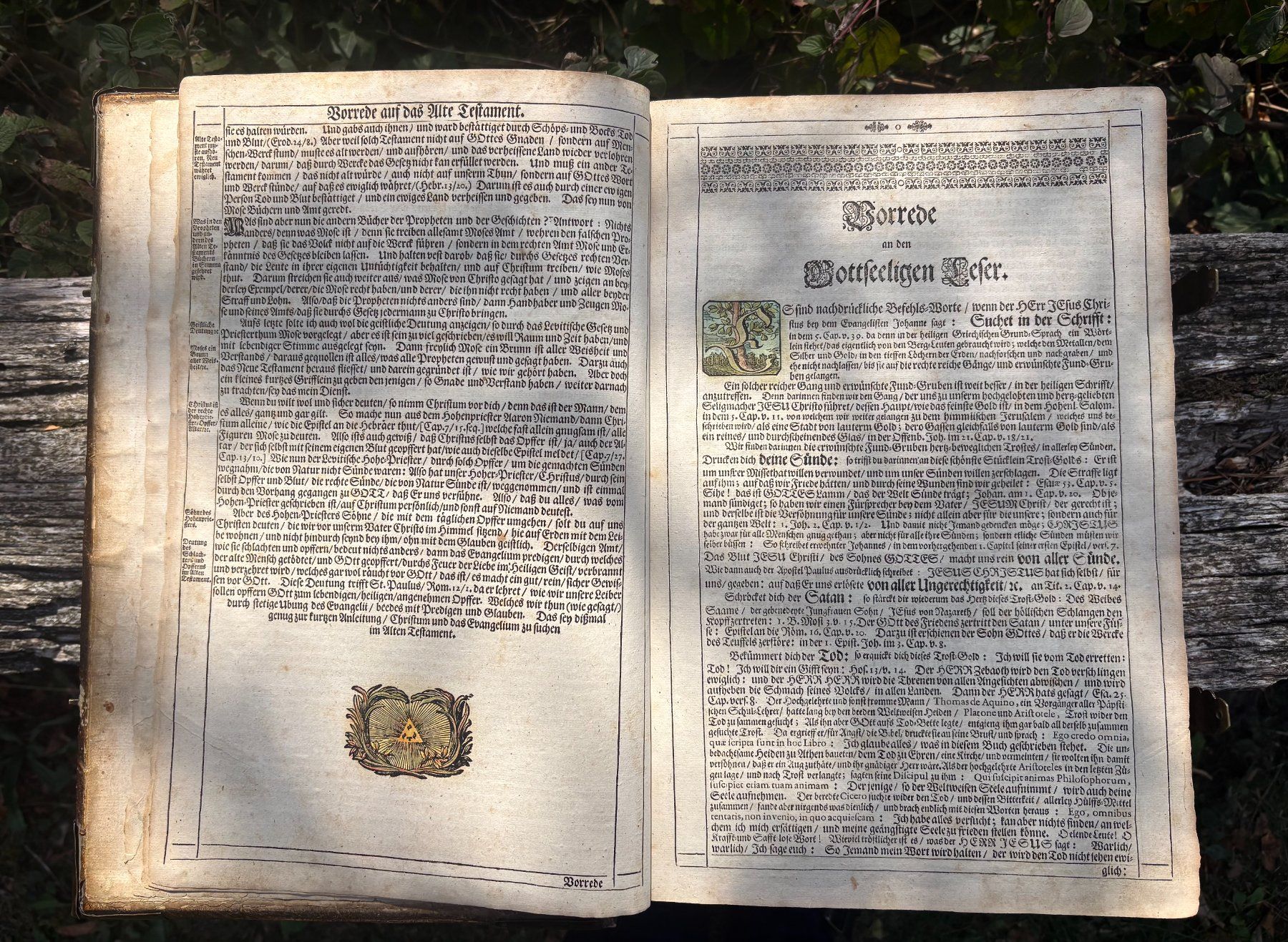 Libri: Endterischen Holzschnitt-Bibel – Usato da Stüsslingen venduto da Ideur1 4
