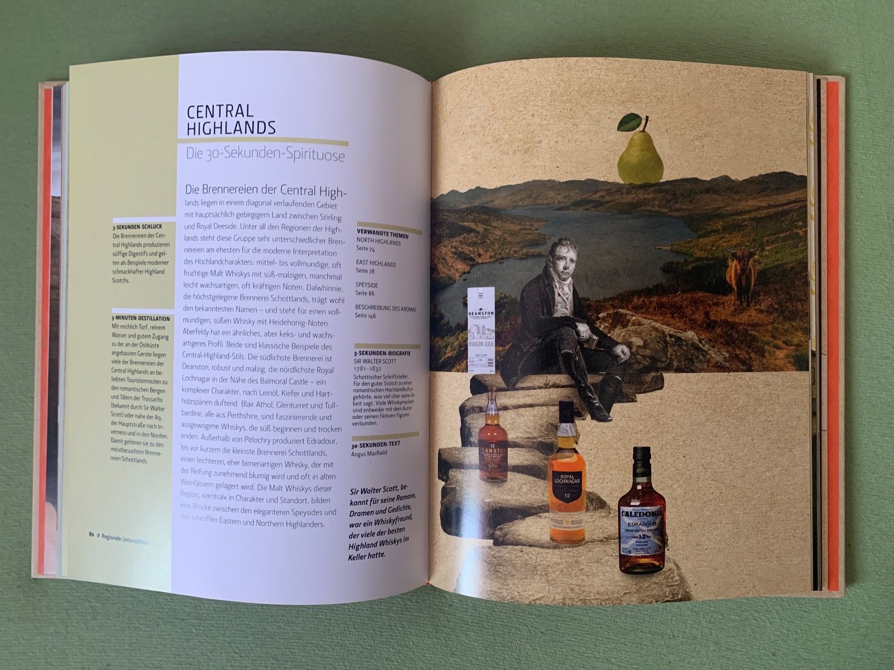 Libri: BUCH Whisky in 30 Sekunden – Usato da Belp venduto da you-and-me 3