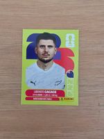 Panini Fifa NZL 5