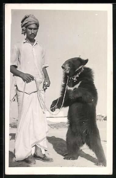Cartoline postali: AK Karachi, Bear Dance, Tanzbär – Usato da Berlin venduto da bartko-reher