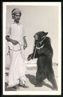 AK Karachi, Bear Dance, Tanzbär