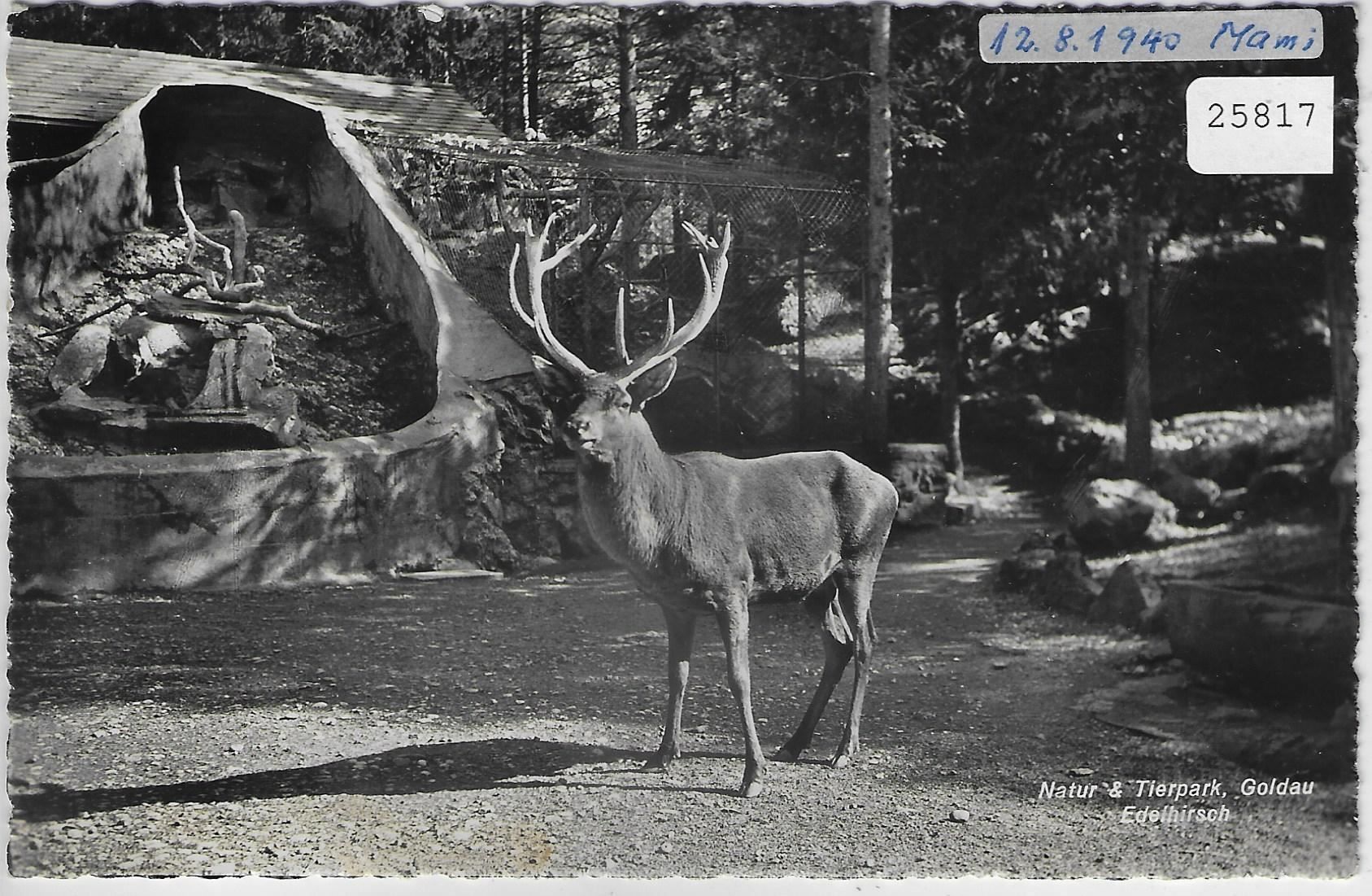 Cartes postales: Natur & Tierpark Goldau - Edelhirsch – Antique à Ettingen par Kartenplanet