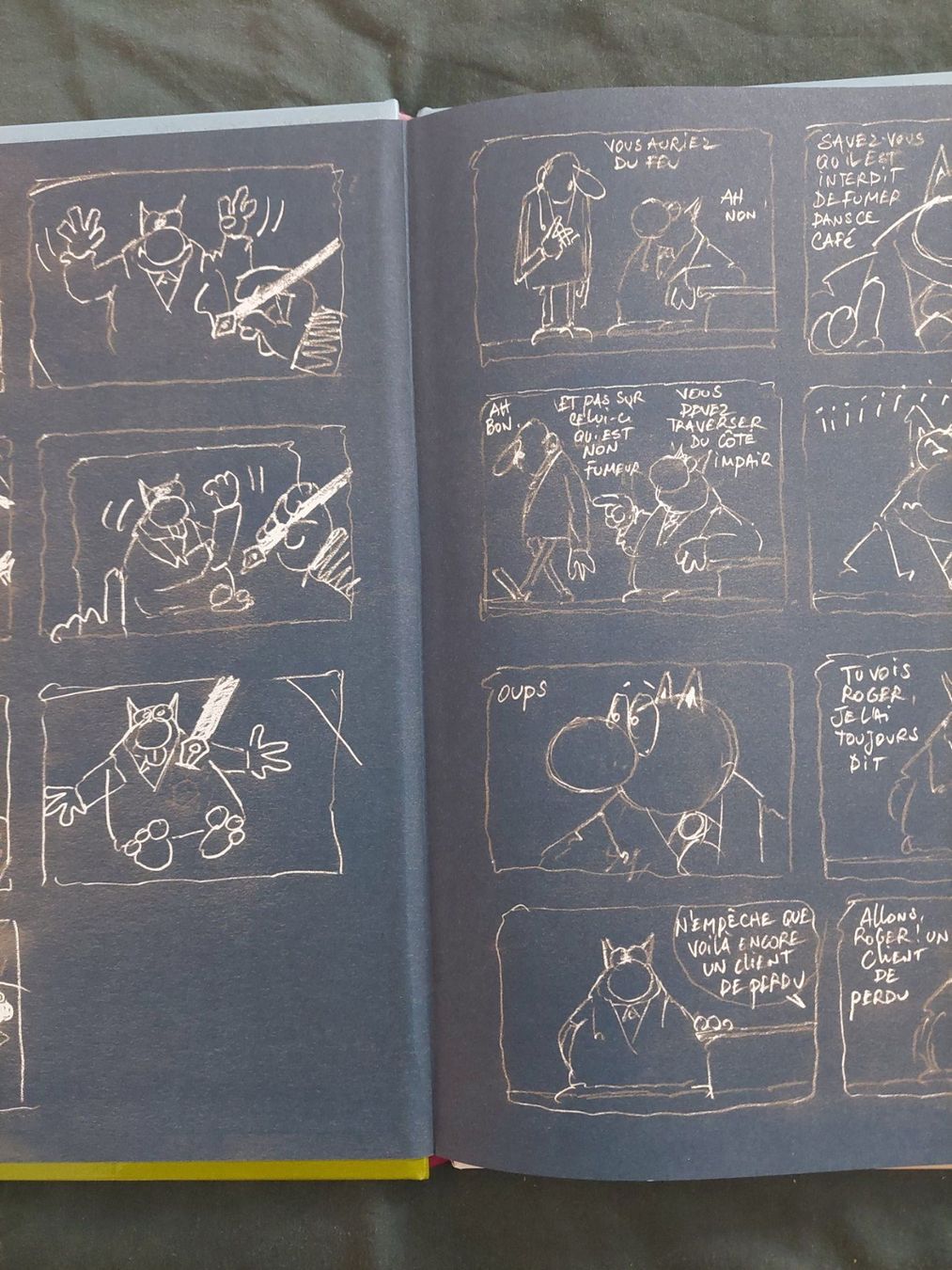 Comics: Le Chat Erectus EO 2012 TBE – Gebraucht aus Genève von Blu_BD 2
