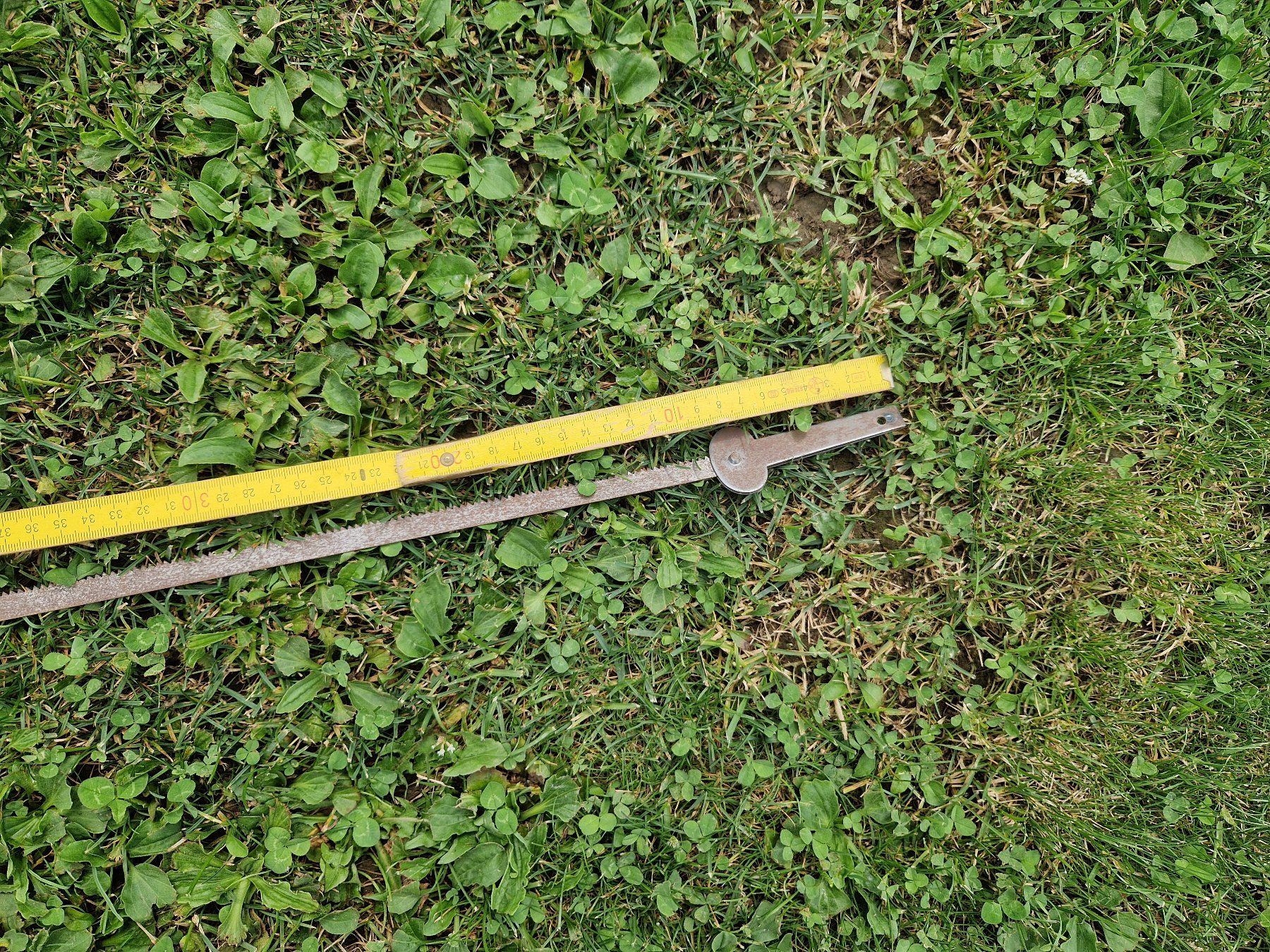 Tutti gli attrezzi: Säge Blatt zu Hand Säge – Usato da Niederbipp venduto da Trude04 3