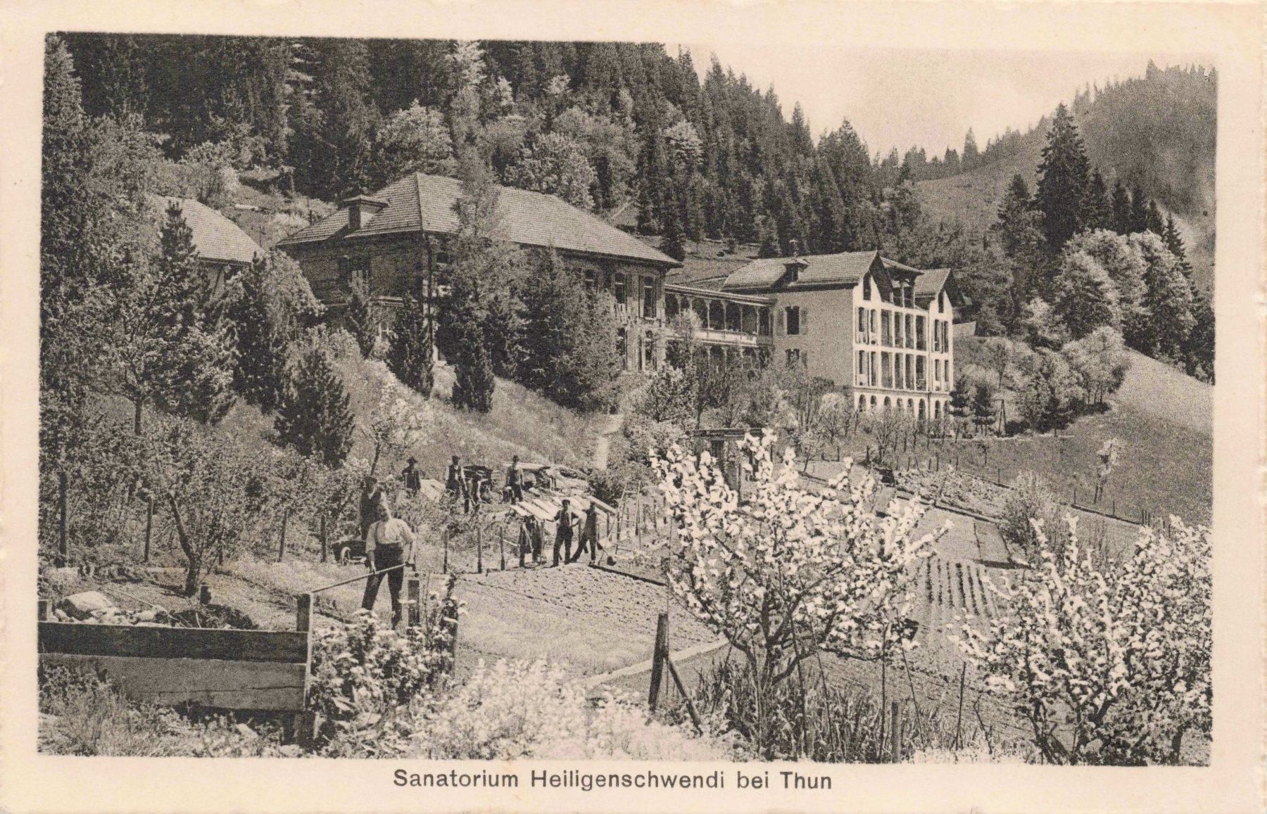 Cartoline postali: Sanatorium heiligenschwendi bei Thun – Usato da Biasca venduto da Blenio71