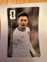 Antonee Robinson (USA) WM 2026 Coca Cola Sticker