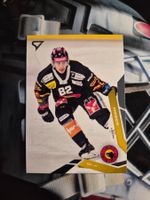Levin Moser SC Bern 2025/26 Sportzoo 2