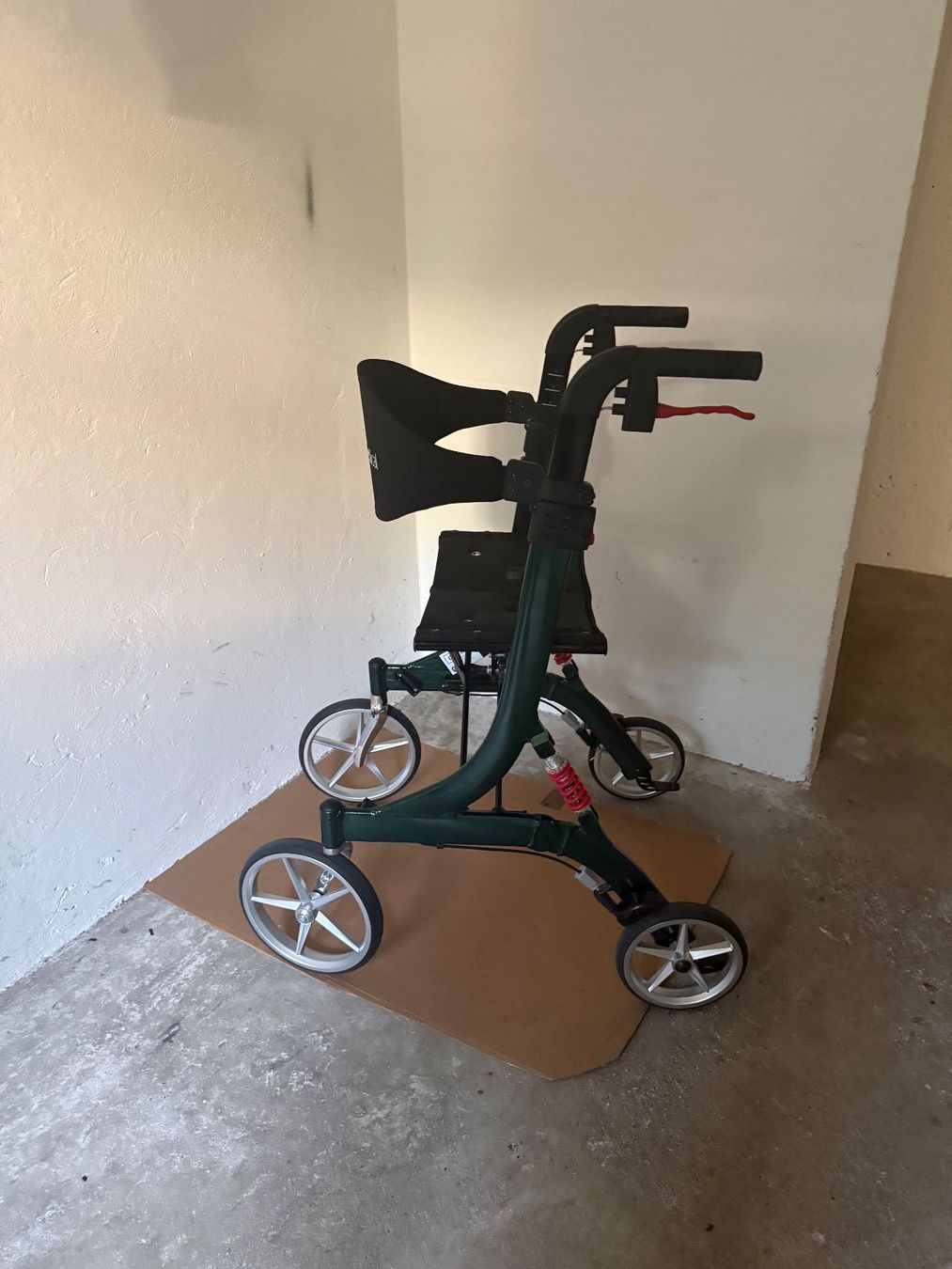 Ausili per la deambulazione: Rollator Spring L jadegrün – Usato da Zürich venduto da raf5rif