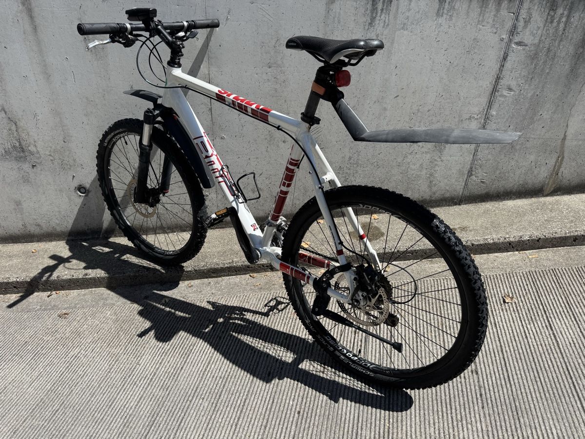 BMC Biciclette: BMC Virus MTB Mountainbike Kult – Usato da Lostorf venduto da Drifter3