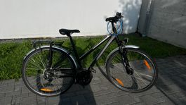Crosswave Trekkingrad 28" Shimano 27-Gang schwarz