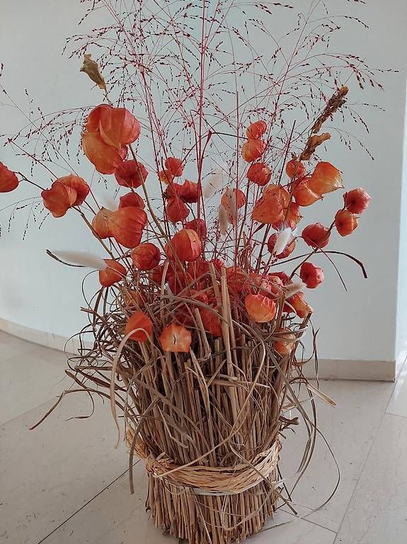 Tutte le decorazioni: Trockenblumen  Dekoration neu – Nuovo e nell'imballaggio originale da windisch venduto da gravity2