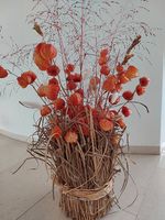 Trockenblumen  Dekoration neu