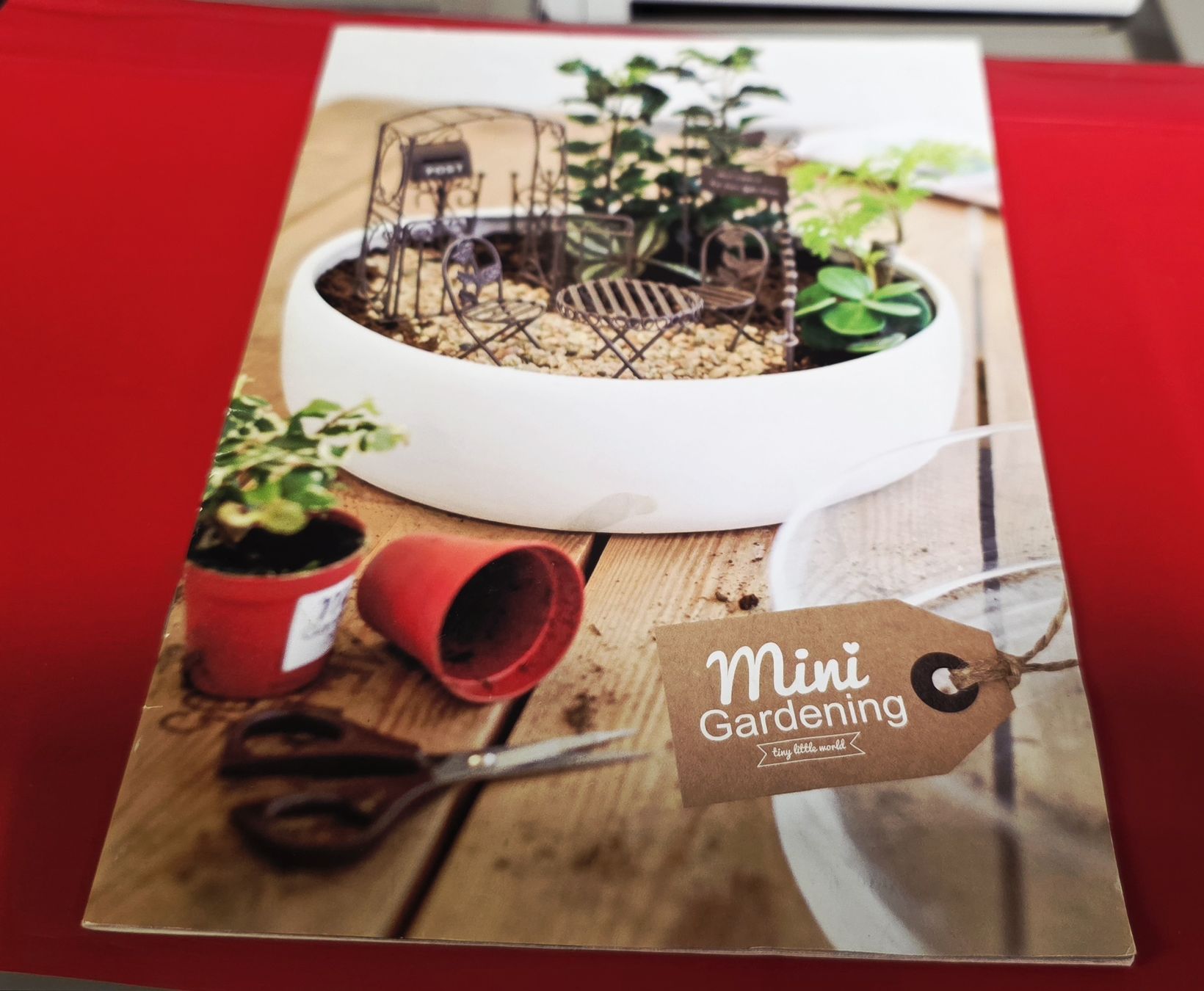 Bücher: Mini Gardening - Tiny little World (BUCH) – Gebraucht aus Reinach BL von _MasterK_