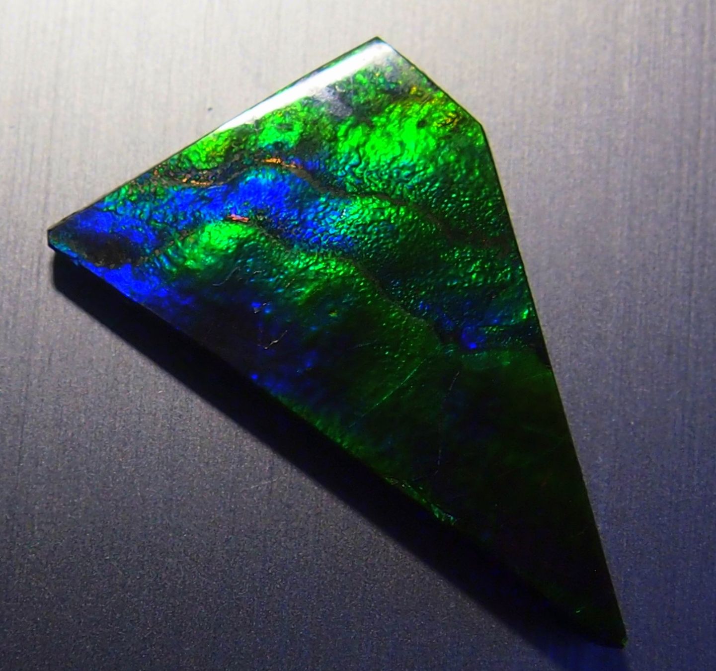 Fossili: 17  Karat Natural funky GEM Ammolite AAA! – Nuovo e nell'imballaggio originale da Reinach BL venduto da Marblue 4