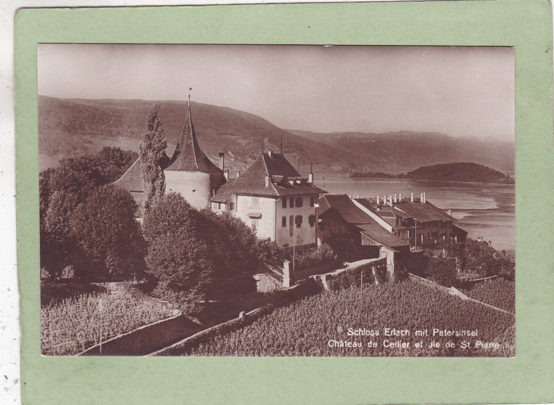 Cartoline postali: Schloss Erlach mit Petersinsel – Usato da Herisau venduto da Lisegrat2008