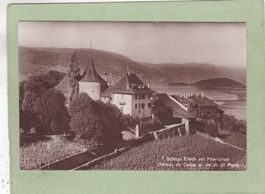 Schloss Erlach mit Petersinsel