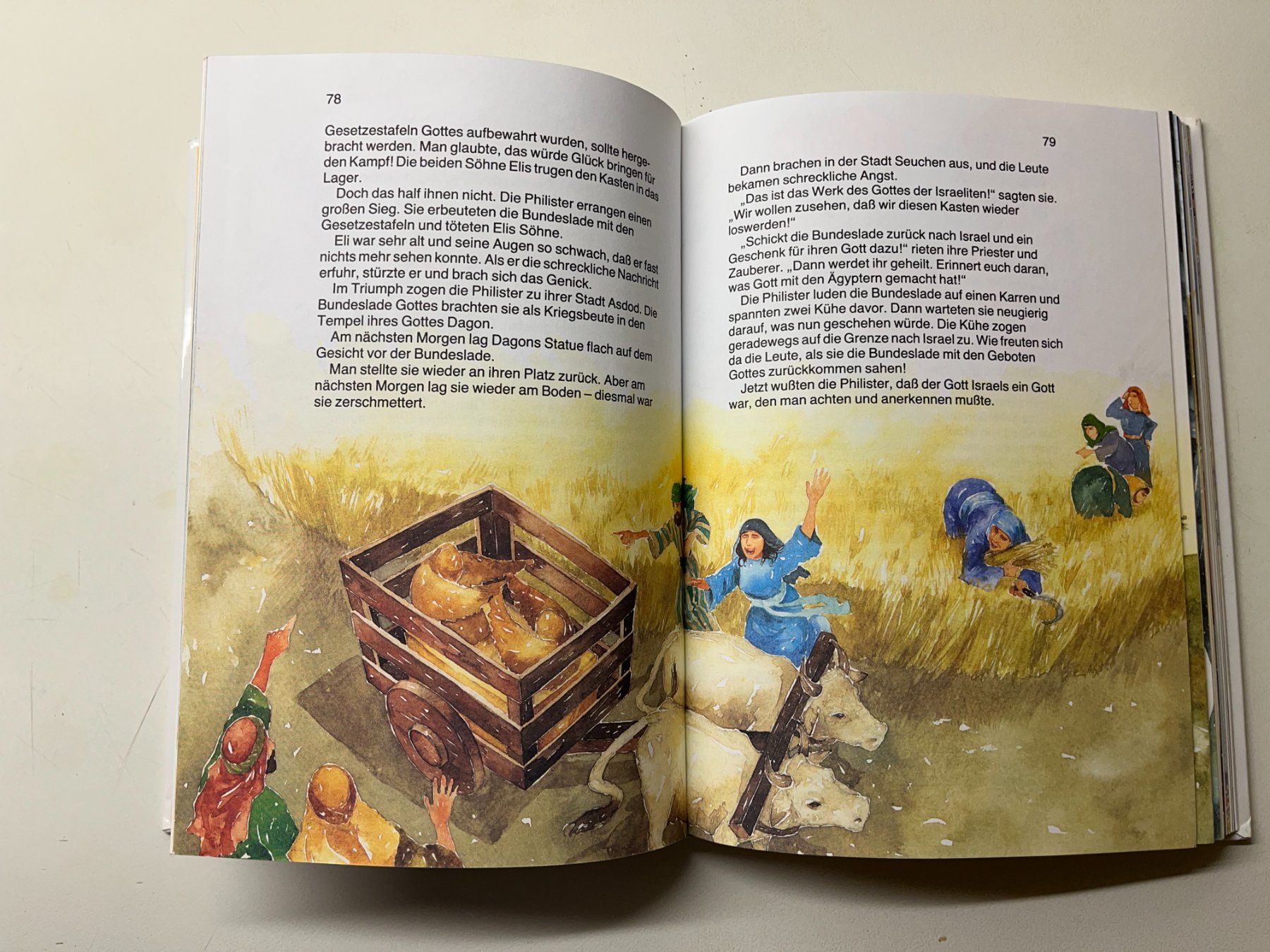 Libri: Set Kinderbibel und weitere – Nuovo (secondo la descrizione) da Kleindöttingen venduto da nev_tn7c 2