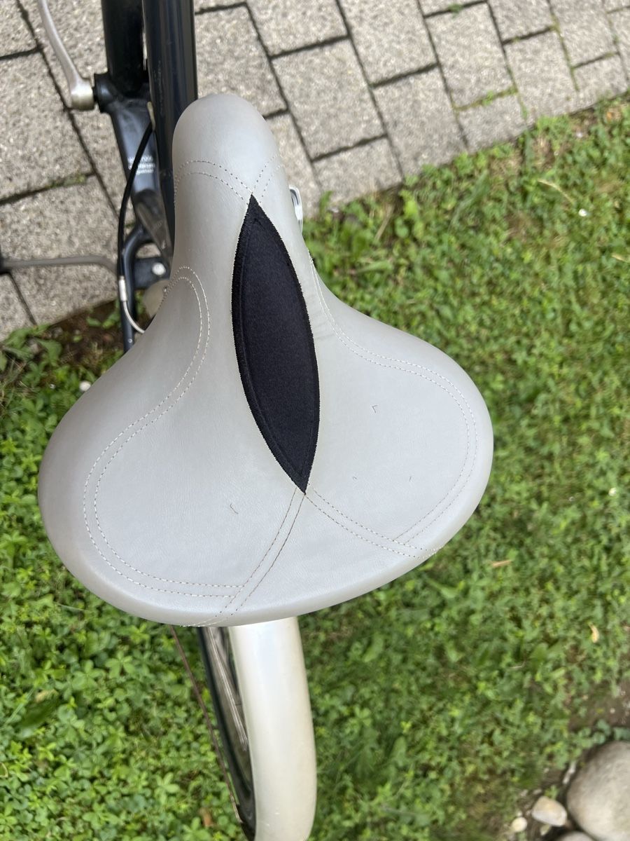 Vélos: Beachcruiser von Electra Modell Townie 8 Gänge – D'occasion à Lindau par Caemi77 3