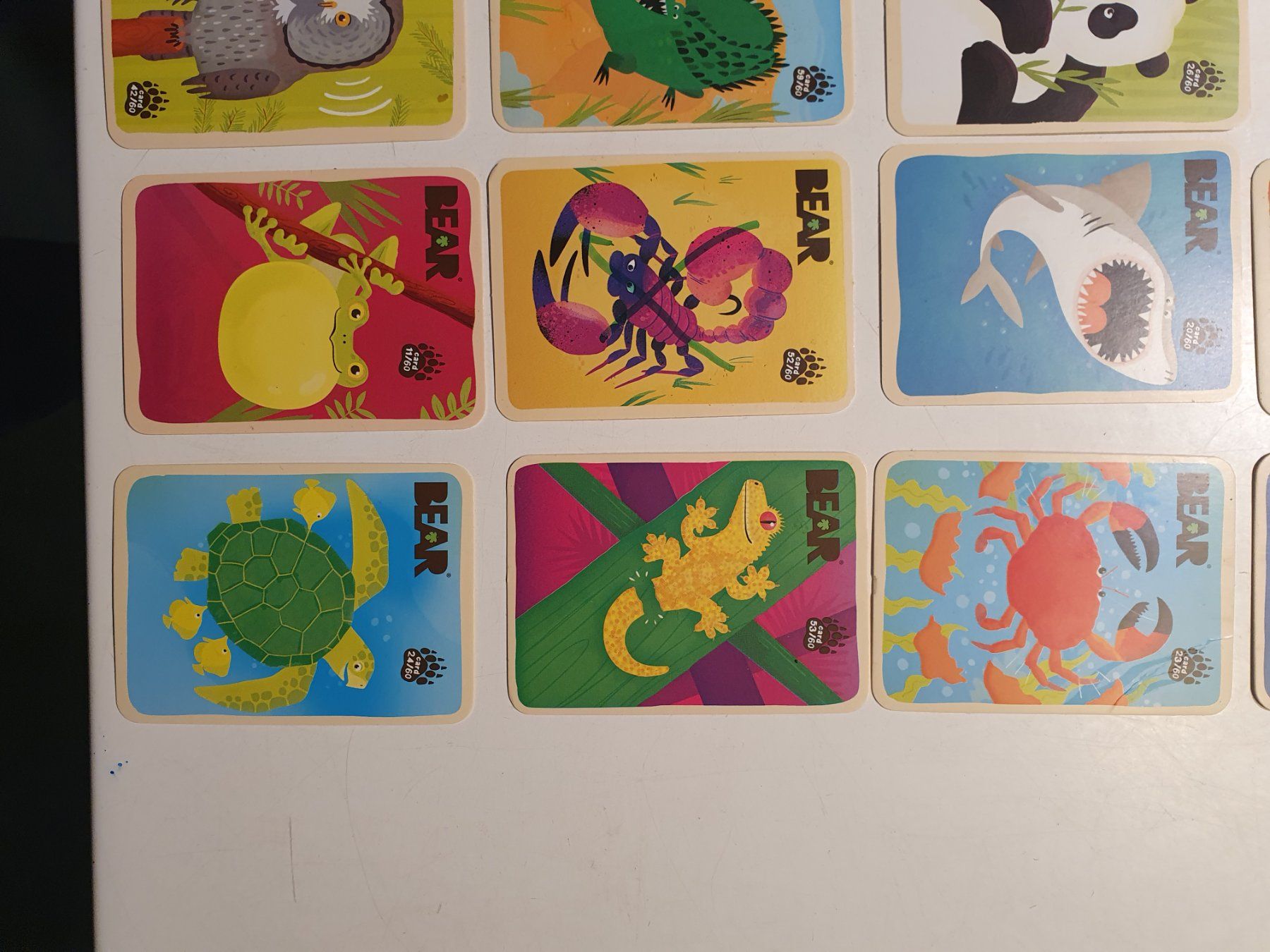 Giochi: Bear Kartenspiel 2 Stk fehlen – Usato da Zürich venduto da loosebone 3