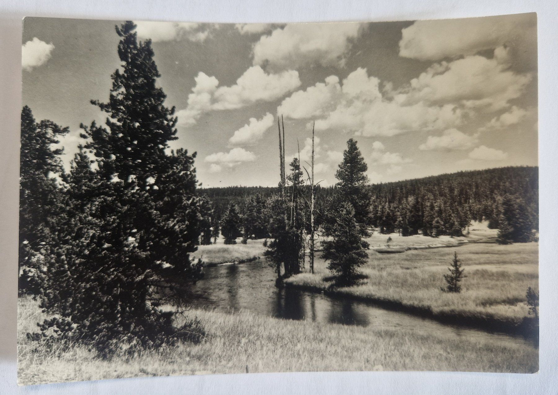 Ansichtskarten: Flusslandschaft 1956 – Gebraucht aus Melchnau von Fishel