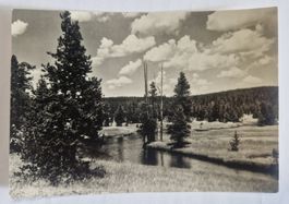Flusslandschaft 1956