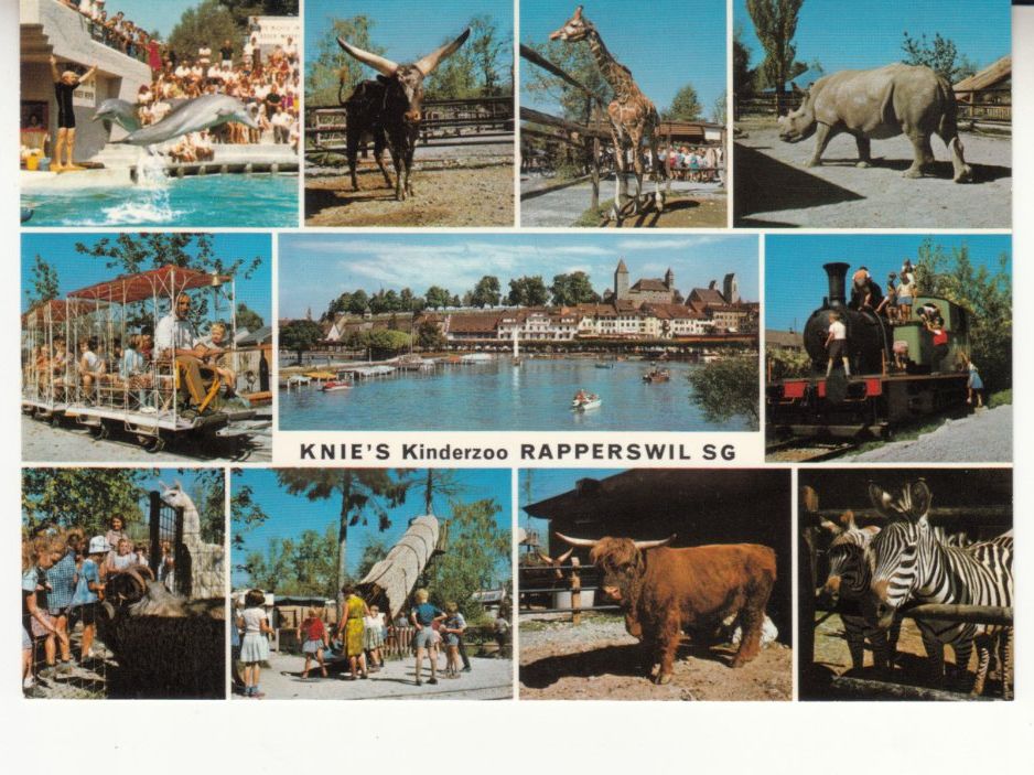 Cartoline postali: Rapperswil Zoo 1971 – Usato da Bürglen TG venduto da StampGraf