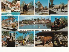 Rapperswil Zoo 1971