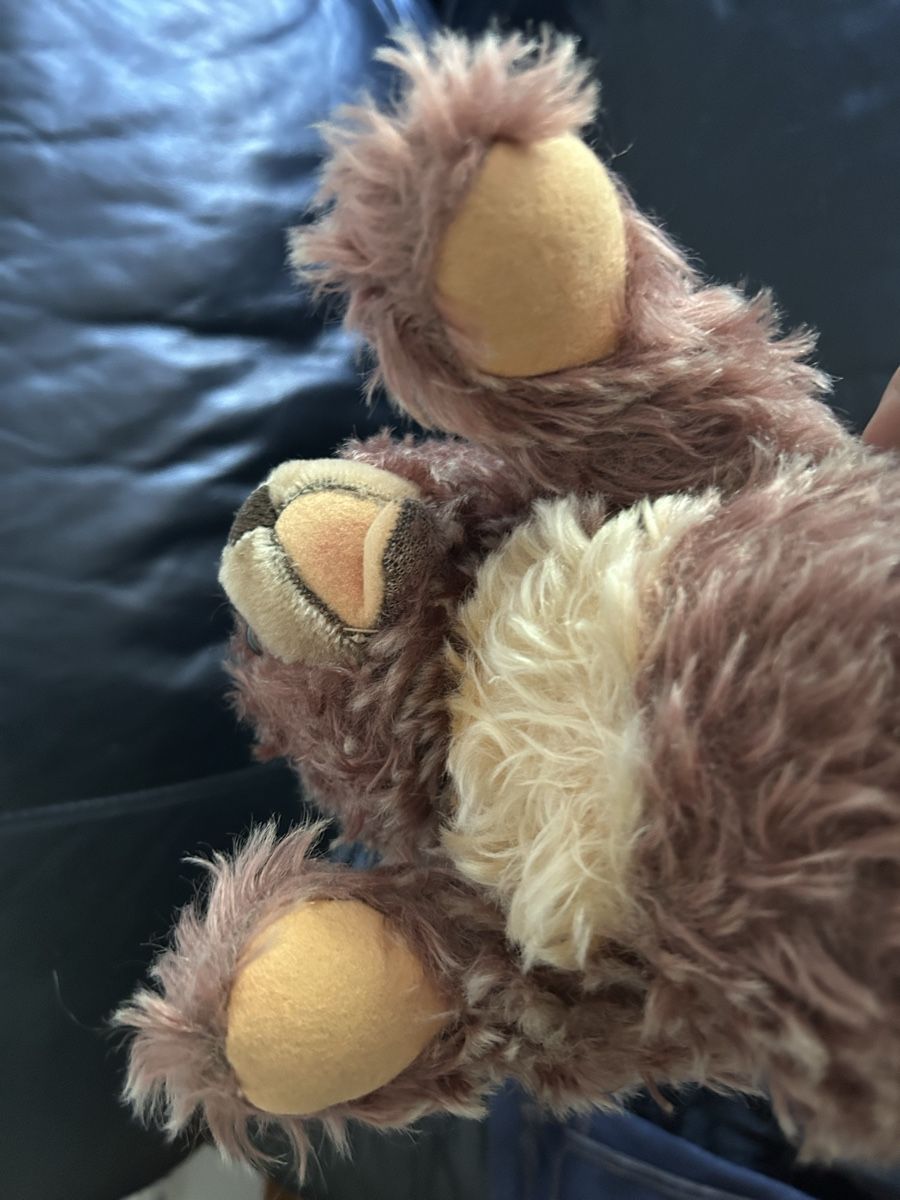 Steiff Giocattoli: Steiff Teddy Zotty – Usato da Bülach venduto da larson27 3