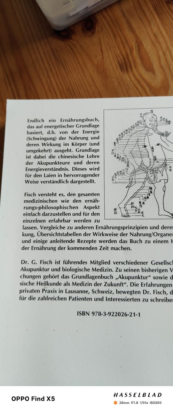 Libri: chinesische Heilkunst in der Ernährung – Usato da Volken venduto da katz5 2