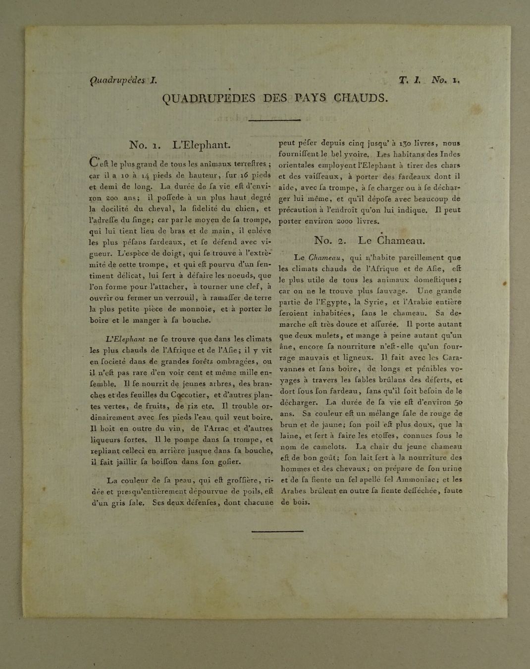 Incisioni: ELEFANT & KAMEL, KUPFERSTICH UM 1810 – Usato da Grüningen venduto da Kartensammler 4