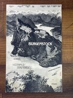 Bürgenstock Vierwaldstättersee Schweiz