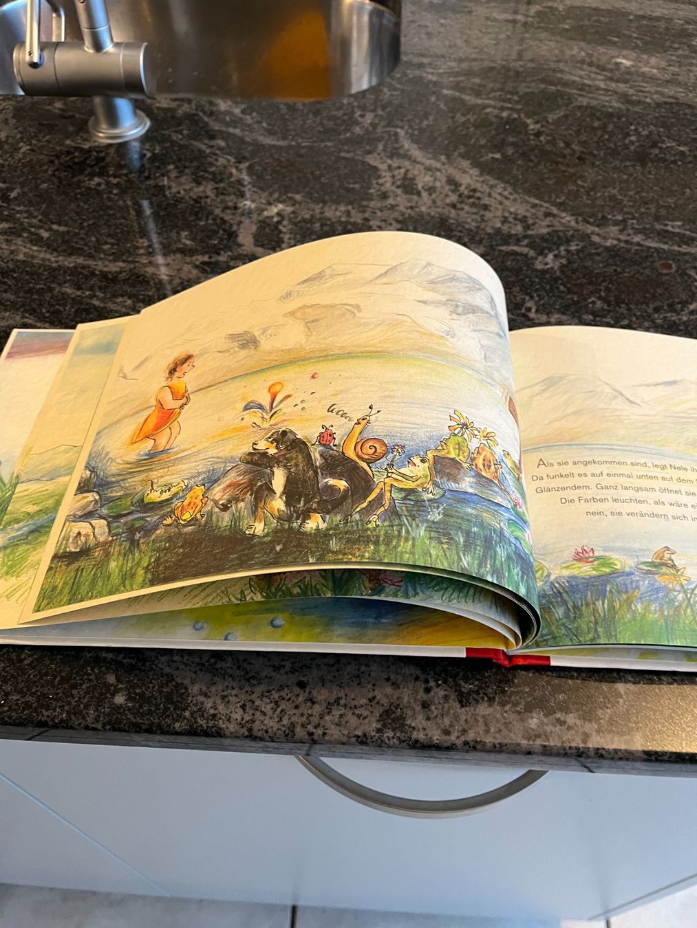 Libri: Kinderbuch, "Zauberkind" Sandra Schuster & Rita Polajnar Top – Usato da Zürich venduto da Roulet 4