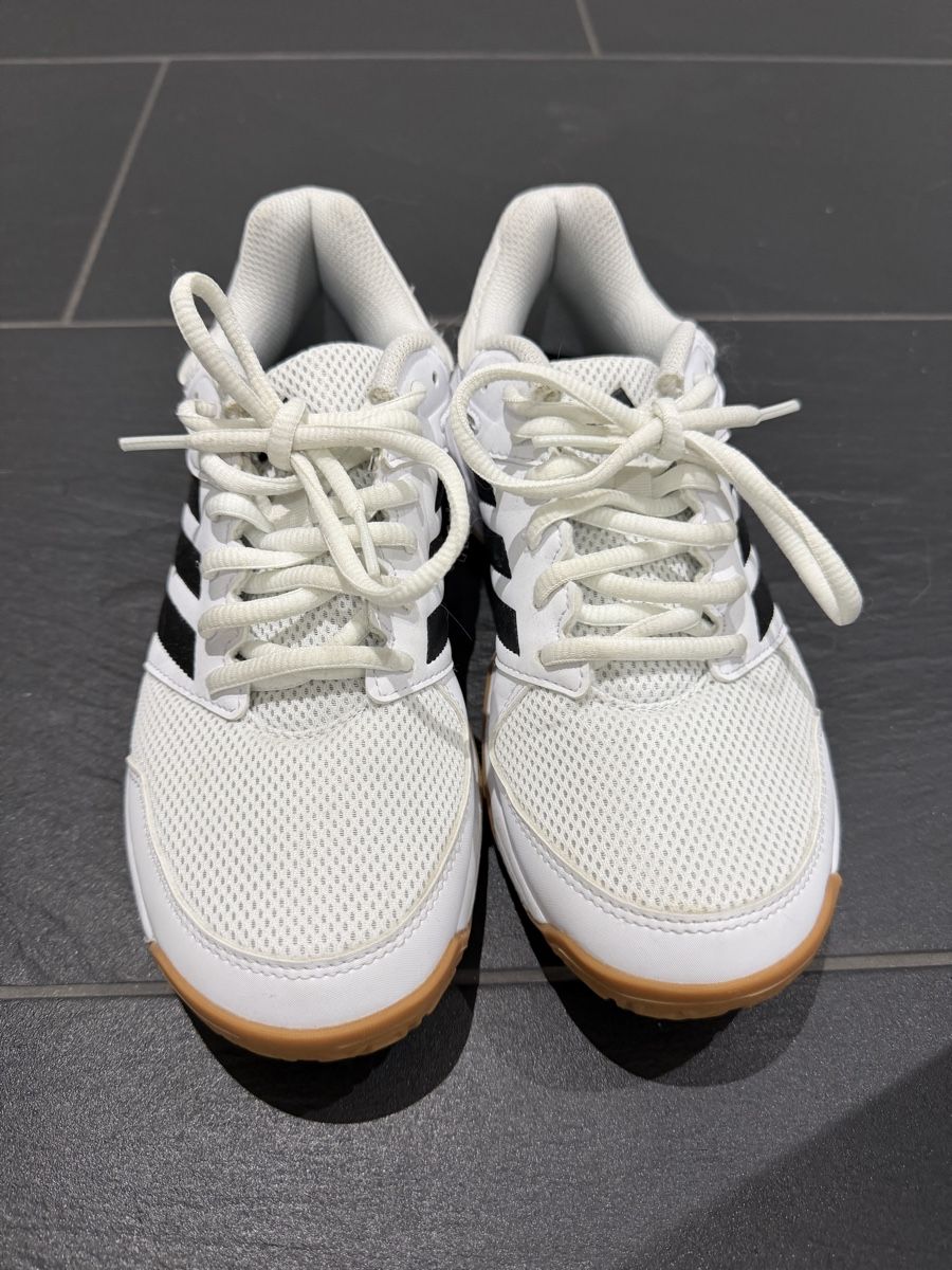 Adidas Scarpe per ragazzi: Adidas Hallenschuh, Grösse 38 – Usato da Oberentfelden venduto da Barbabella21
