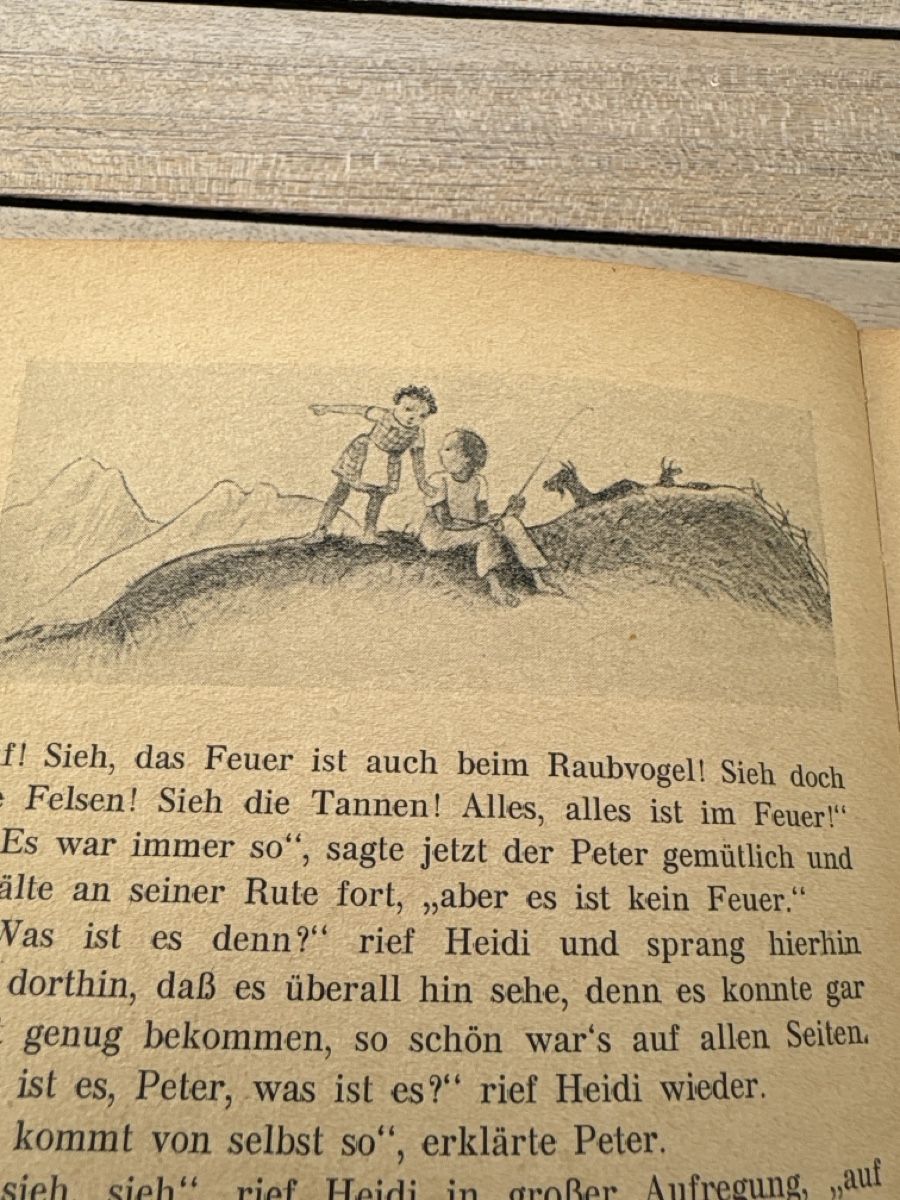 Libri: Heidi von Johanna Spyri – Usato da Verscio venduto da Foroglio 2