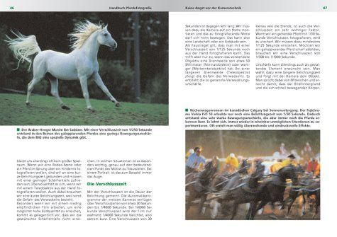 Libri: Handbuch Pferdefotographie – Nuovo (secondo la descrizione) da Sarnen venduto da Livres 4
