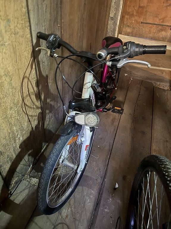 Biciclette: Vélo enfant 20'' – Usato da la chaux de fonds venduto da lara874 1